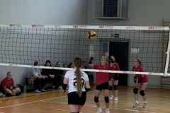 db3d5509-d00d-4896-85b7-b73c172bdd48